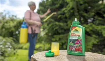 Zum Vergrößern klicken Bildvorschau