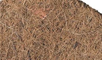 1A Garten Ammer 1A Garten Ammer