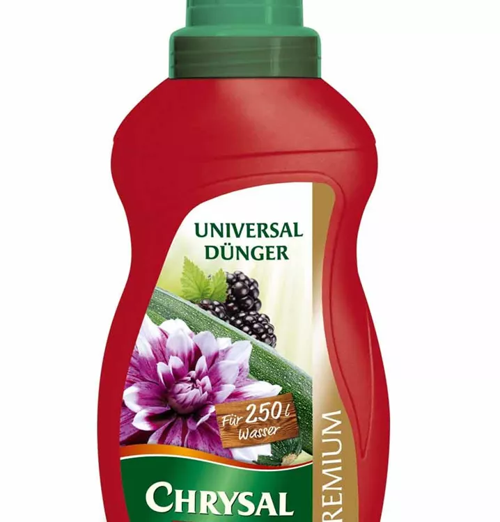 Chrysal