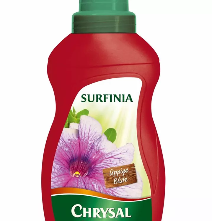 Chrysal