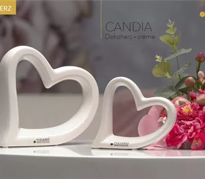 Dekoherz Candia weiß-creme