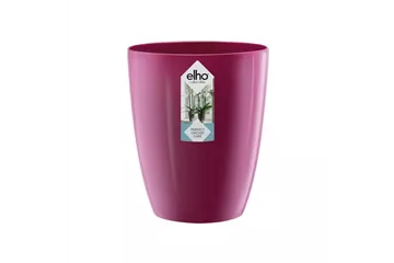 Brussels diamond orchidee hoch 12,5cm kirschrot Brussels diamond orchidee hoch 12,5cm kirschrot