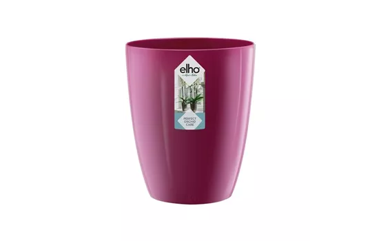 Brussels diamond orchidee hoch 12,5cm kirschrot Brussels diamond orchidee hoch 12,5cm kirschrot