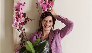 1A Garten Ammer 1A Garten Ammer