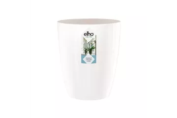 Brussels diamond orchidee hoch 12,5cm weiß Brussels diamond orchidee hoch 12,5cm weiß