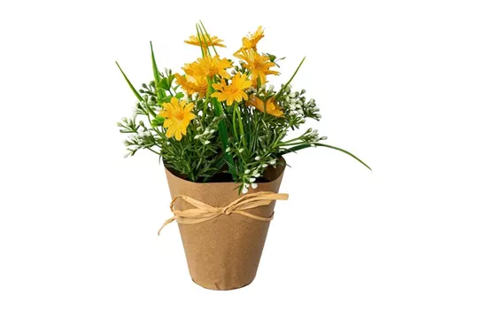 Margarittenmix gelb 21x11cm Margarittenmix gelb 21x11cm