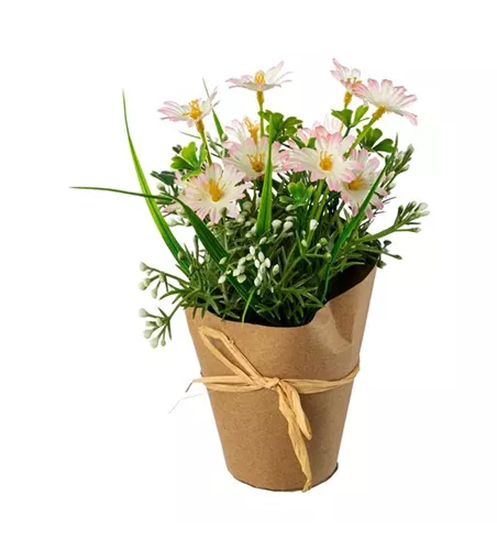 Margerittenmix rosa 21x11cm