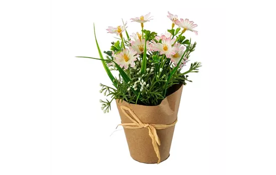 Margerittenmix rosa 21x11cm Margerittenmix rosa 21x11cm