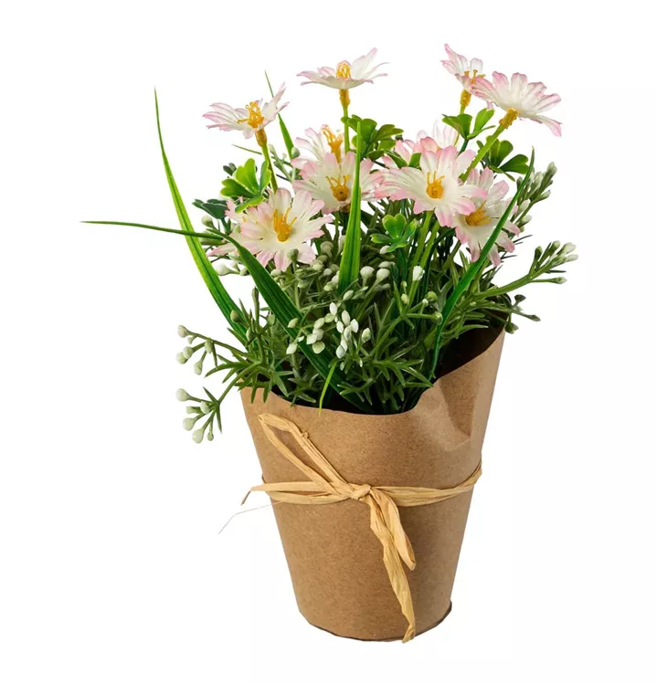 Home Decorations Home Decorations