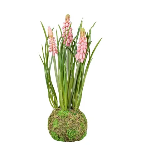 Muscari im Erdballen 22cm rosa