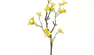 1A Garten Ammer 1A Garten Ammer