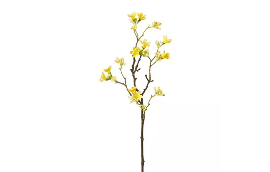 Scheinquittenzweig 51cm gelb Scheinquittenzweig 51cm gelb