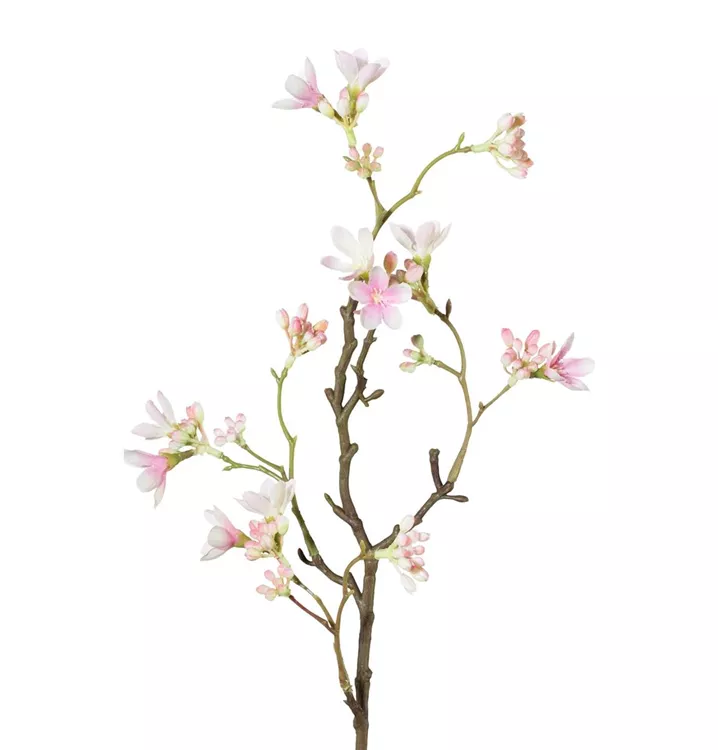 Home Decorations Home Decorations