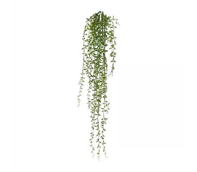 Senecioranke 72cm
