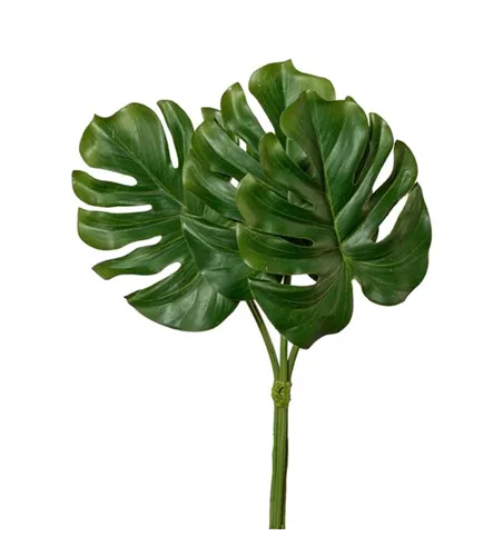 Splitphiloblattbund 30cm