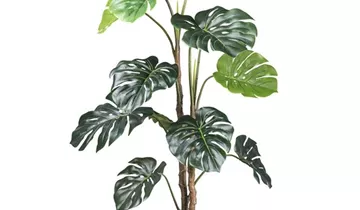 1A Garten Ammer 1A Garten Ammer