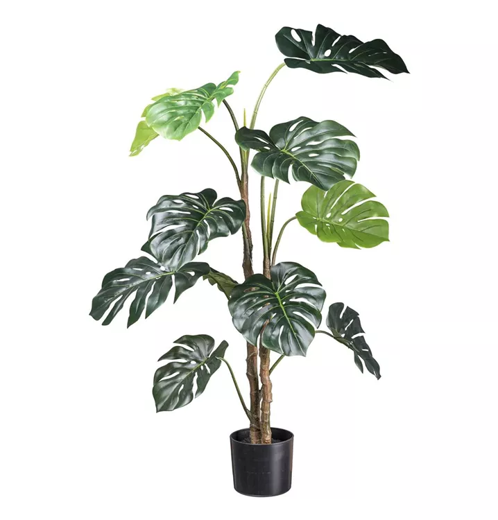 Home Decorations Home Decorations