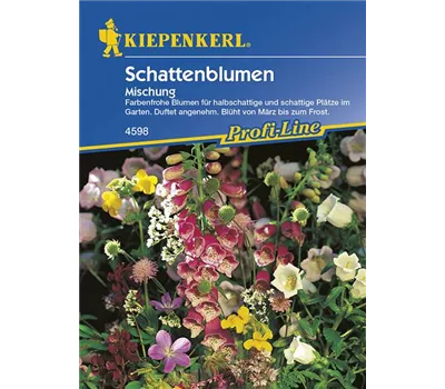 Schattenblumen Mischung