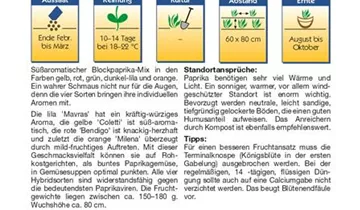 Bildvorschau