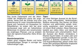 Bildvorschau