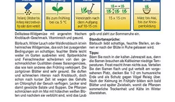 Bildvorschau