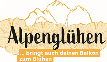Bildvorschau