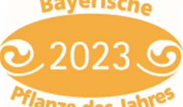 Bildvorschau
