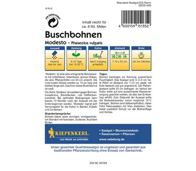 Buschbohne Modesto