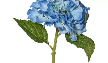 1A Garten Ammer 1A Garten Ammer