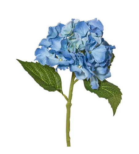 Minihortensie 33cm blau