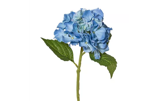 Minihortensie 33cm blau Minihortensie 33cm blau