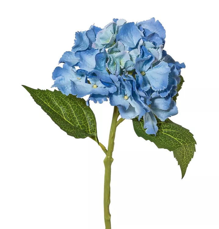 Home Decoration Home Decoration