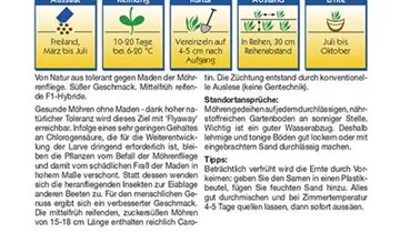 Bildvorschau