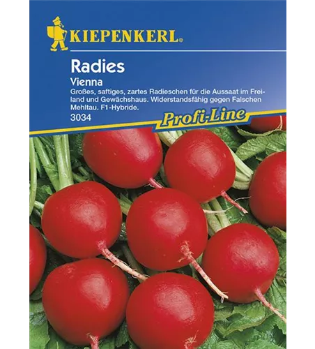 Radieschen Vienna, F1