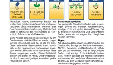 Bildvorschau