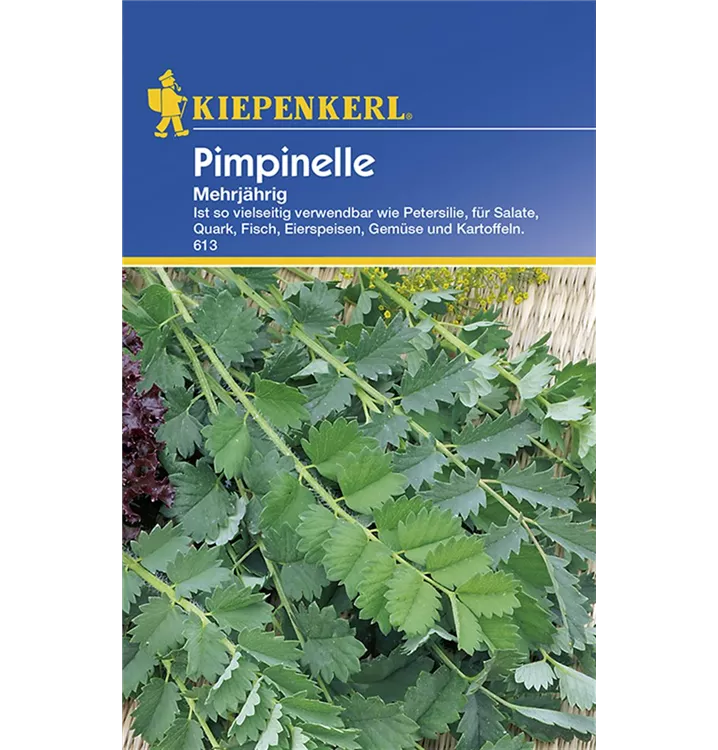 Kiepenkerl - aus Freude am Gärtnern