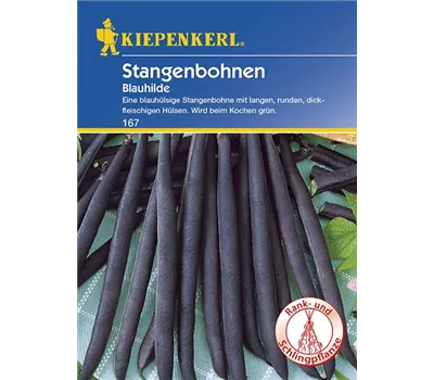 Stangenbohnen Blauhilde