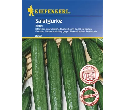 Salatgurke 'Eiffel F1'