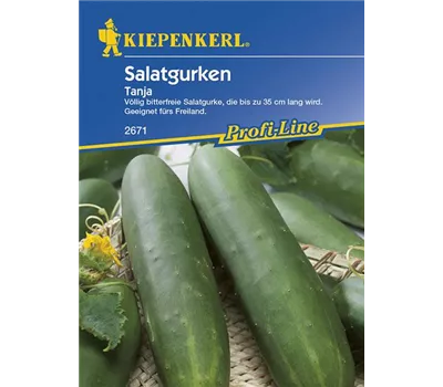 Freiland-Salatgurke Tanja