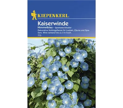 Kaiserwinde Himmelblau