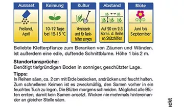 Bildvorschau