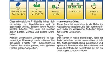 Bildvorschau