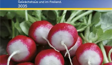 Bildvorschau