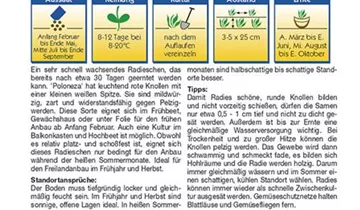 Bildvorschau