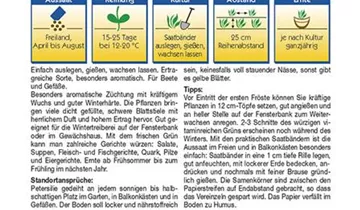 Bildvorschau
