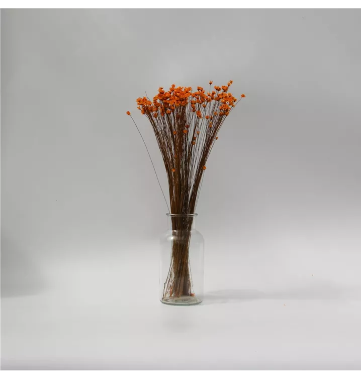 Home Decoration