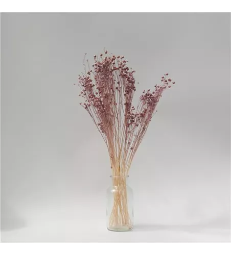 Lino Gras Flieder