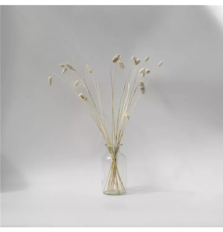 Home Decoration