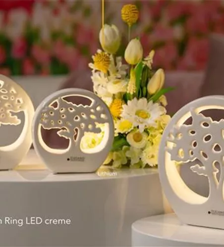 Dekobaum Joy im Ring