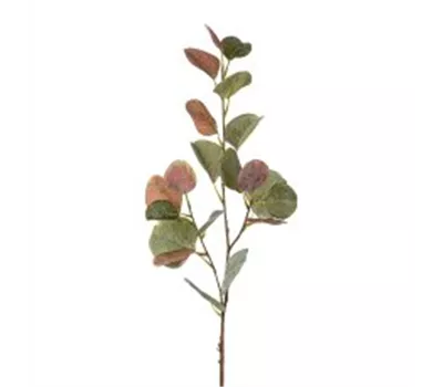 Eucalypthus 75cm grün-lila